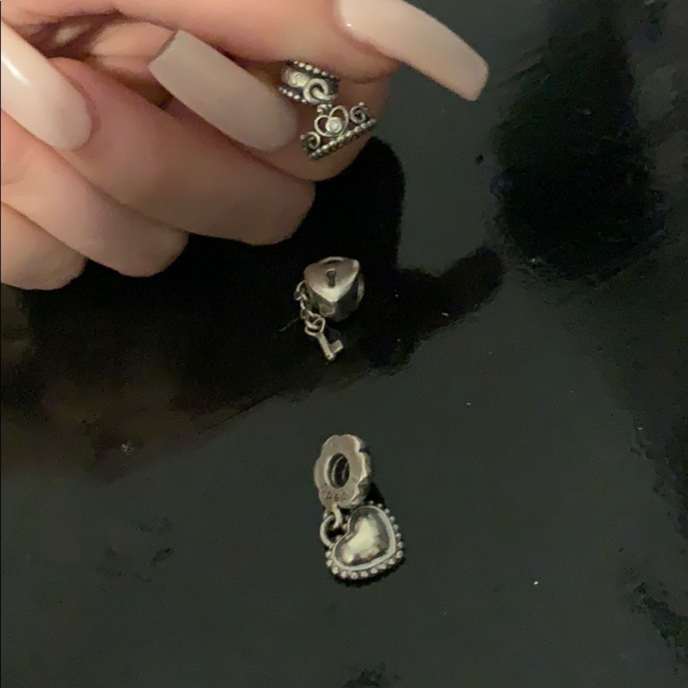 3 Pandora Charms!